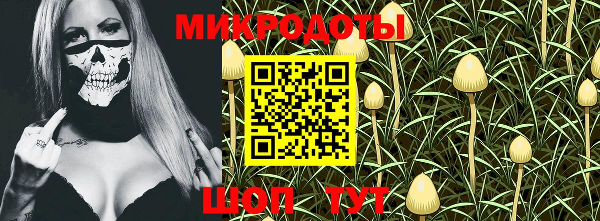 Псилоцибиновые грибы MAGIC MUSHROOMS Киров
